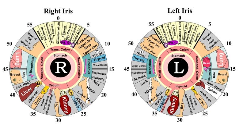 iris scan