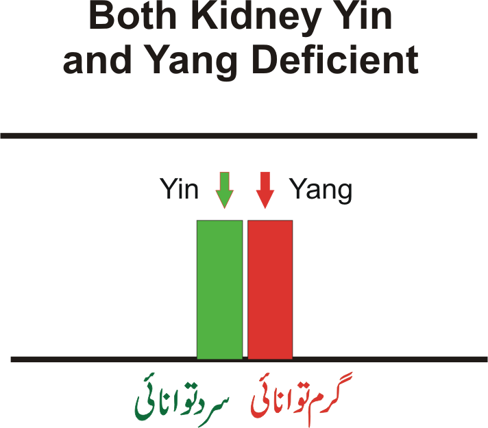 both yin and yand deficiency