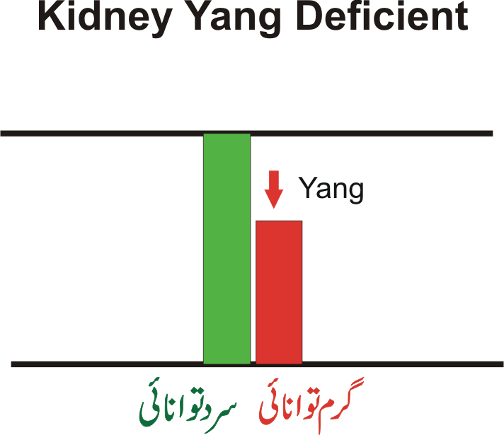 kidney yang deficiency